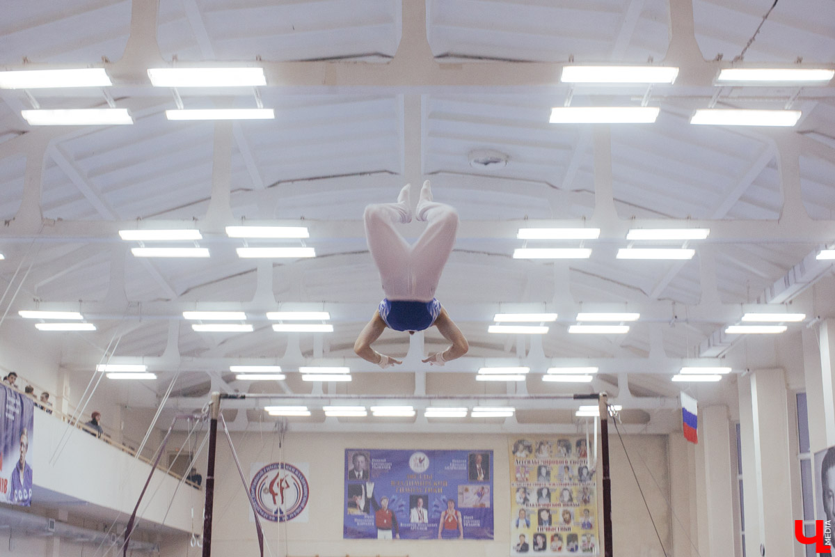Чемпионат ЦФО 2019 по спортивной гимнастике во Владимире