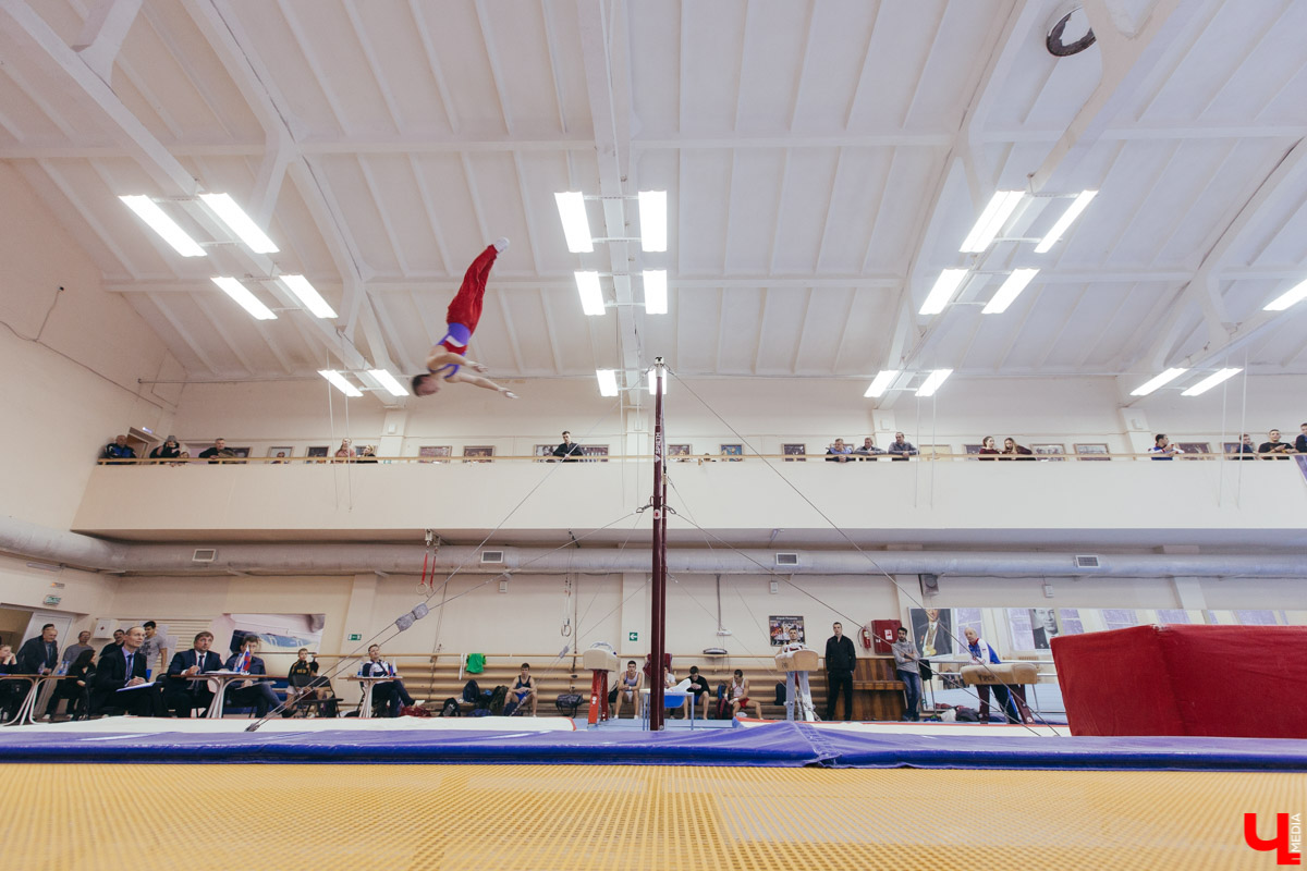 Чемпионат ЦФО 2019 по спортивной гимнастике во Владимире