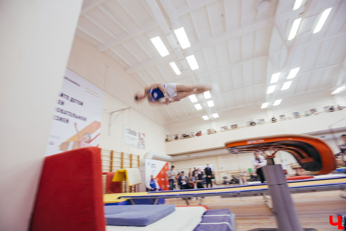 Чемпионат ЦФО 2019 по спортивной гимнастике во Владимире