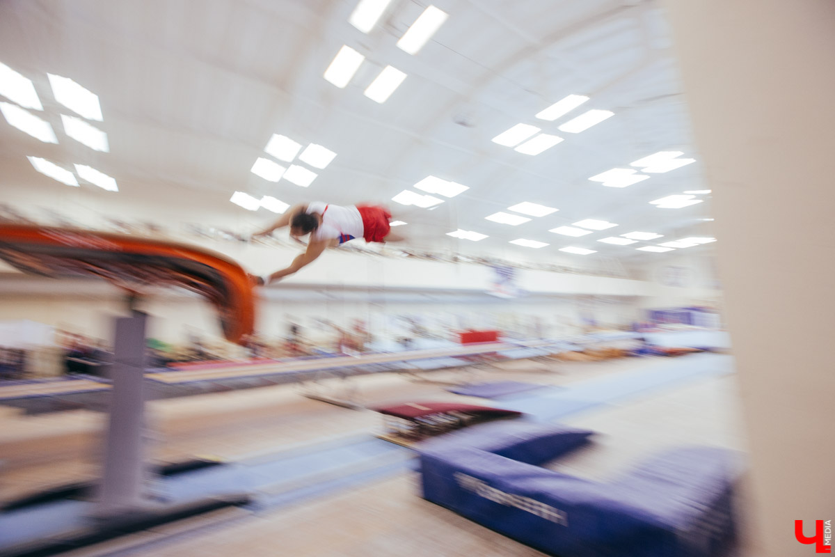 Чемпионат ЦФО 2019 по спортивной гимнастике во Владимире