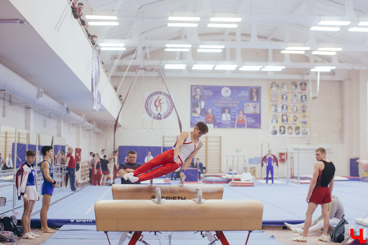 Чемпионат ЦФО 2019 по спортивной гимнастике во Владимире