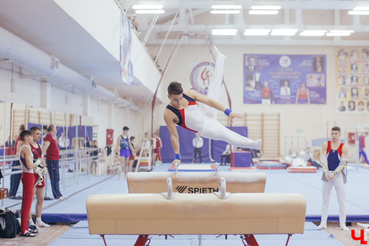 Чемпионат ЦФО 2019 по спортивной гимнастике во Владимире
