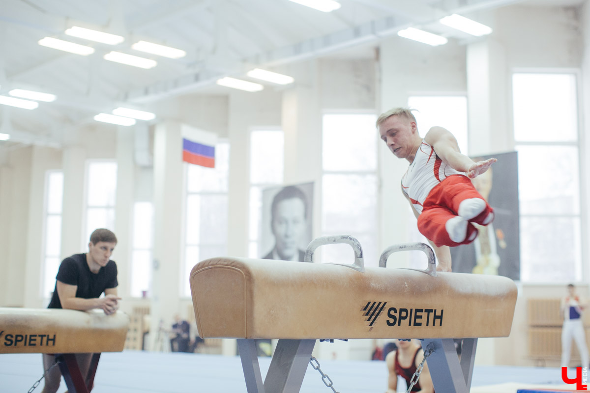 Чемпионат ЦФО 2019 по спортивной гимнастике во Владимире