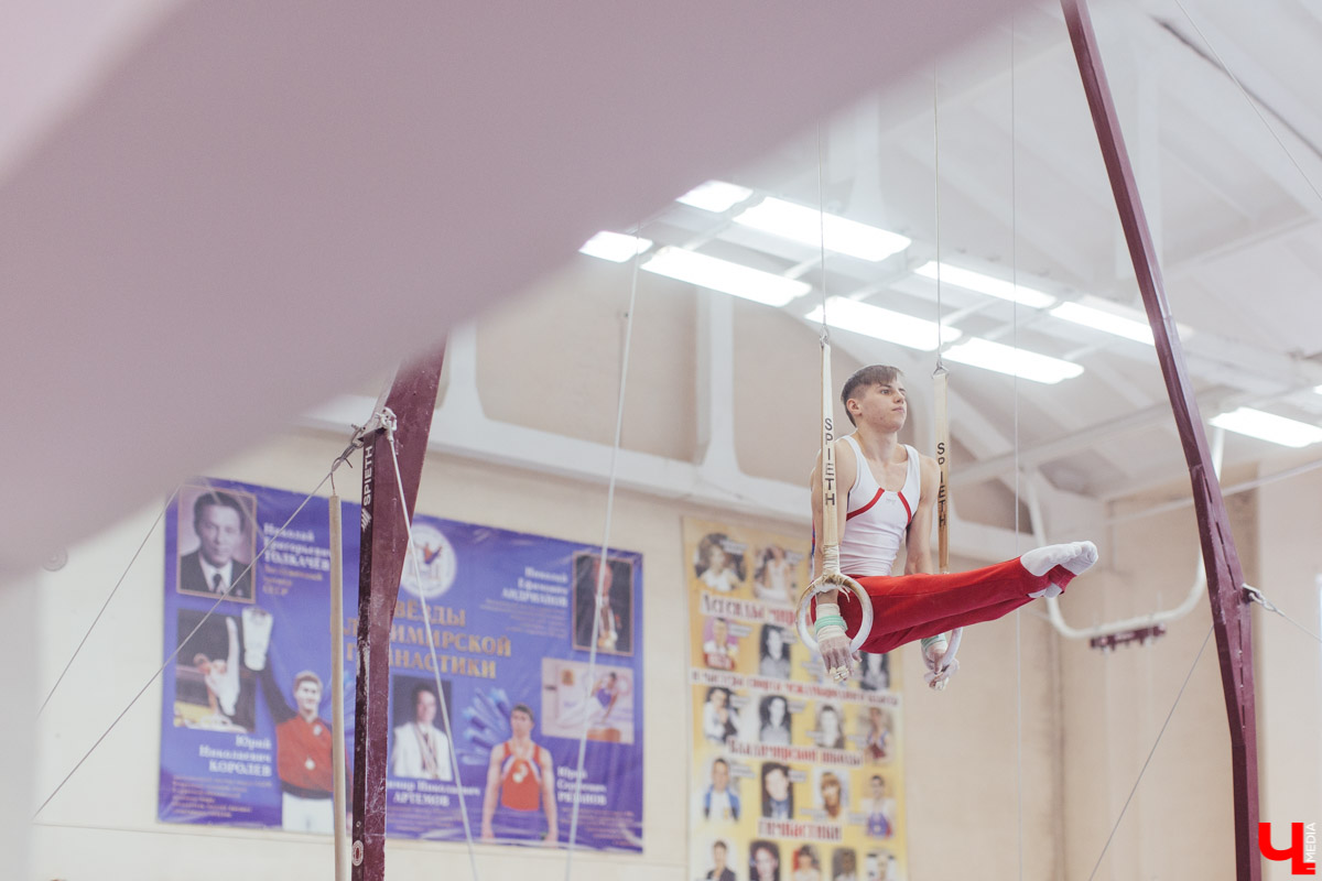 Чемпионат ЦФО 2019 по спортивной гимнастике во Владимире