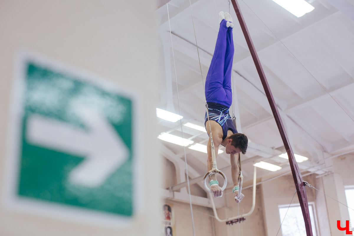 Чемпионат ЦФО 2019 по спортивной гимнастике во Владимире