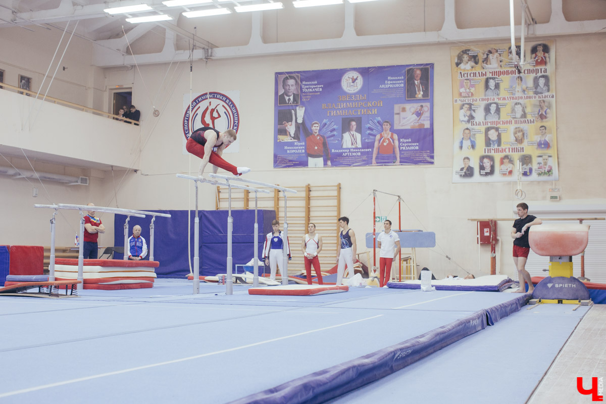 Чемпионат ЦФО 2019 по спортивной гимнастике во Владимире