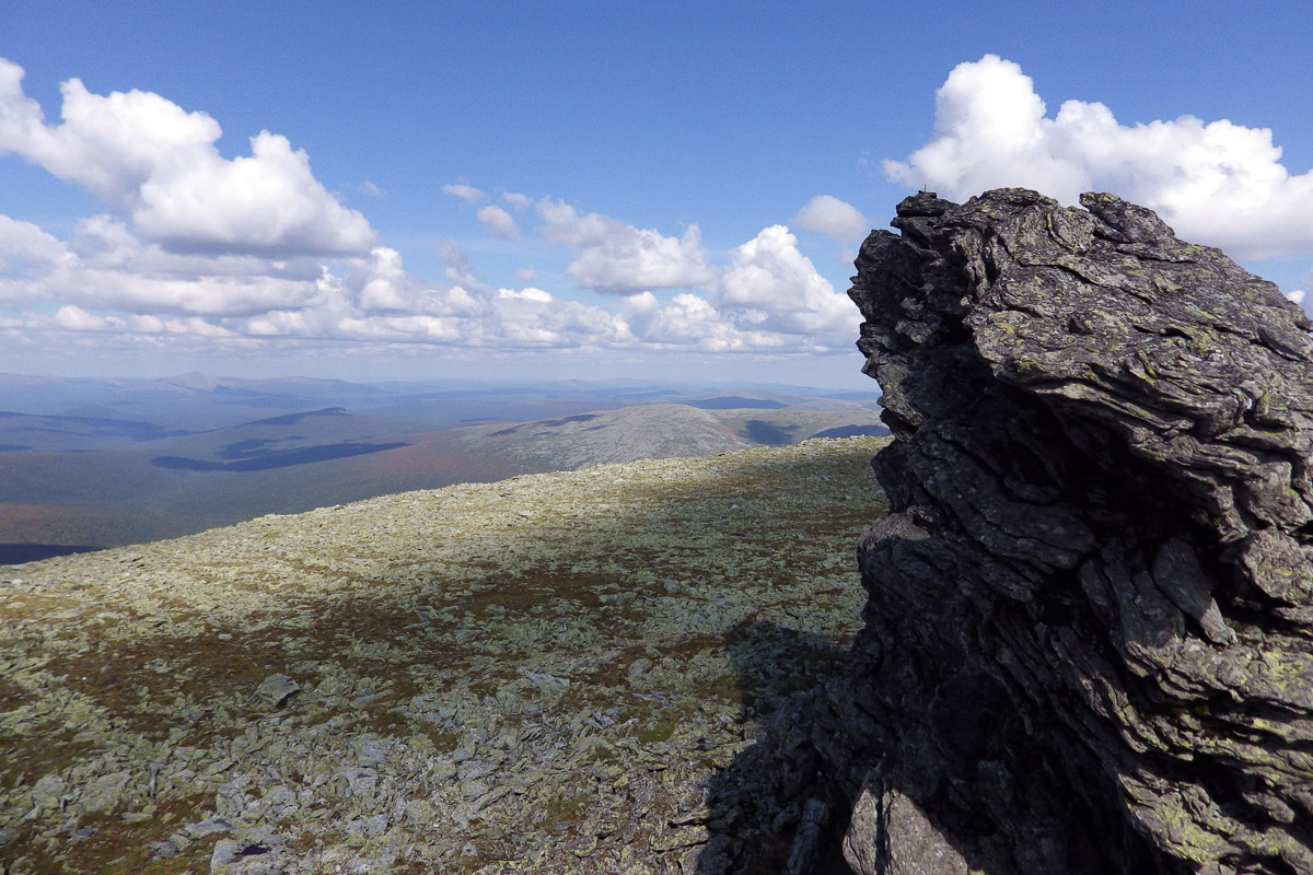 Спустя 60 лет после трагедии на перевале Дятлова возобновилось расследование. И муромлянин Дмитрий Савва рассказал о своей теории по поводу странной гибели девяти туристов в 1959 году