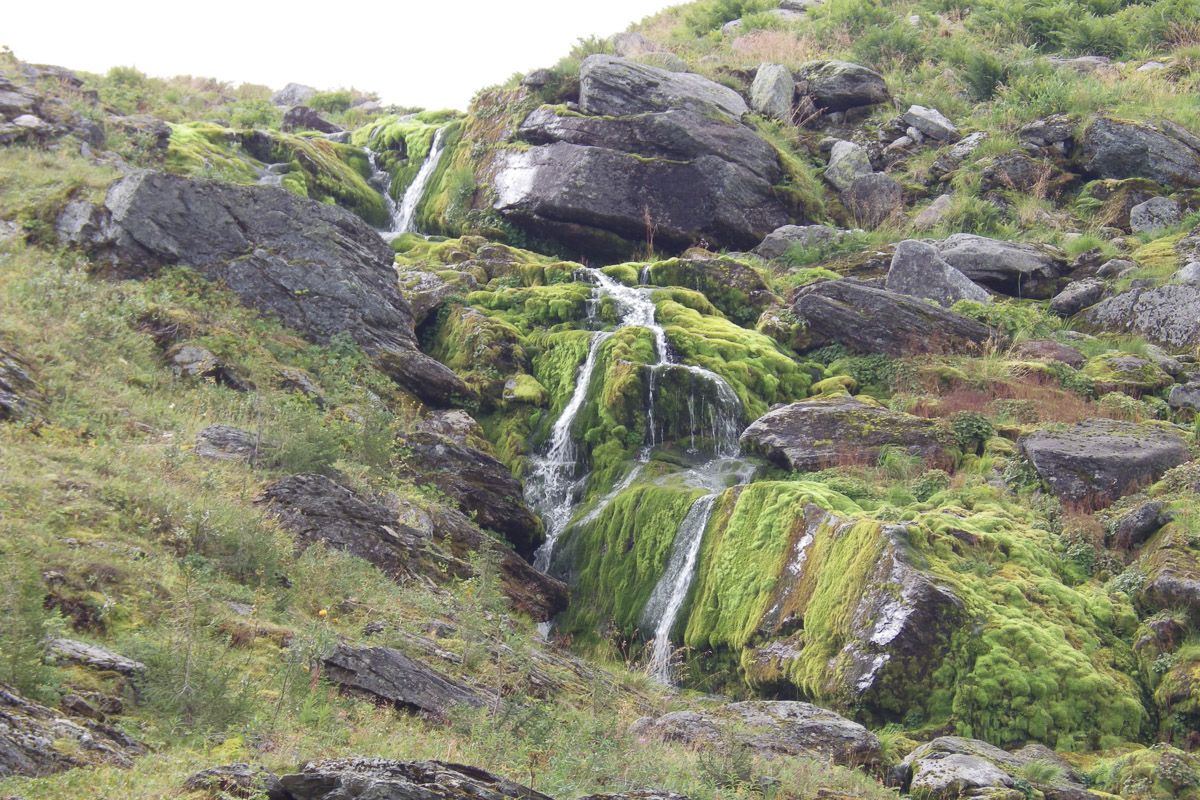 Спустя 60 лет после трагедии на перевале Дятлова возобновилось расследование. И муромлянин Дмитрий Савва рассказал о своей теории по поводу странной гибели девяти туристов в 1959 году