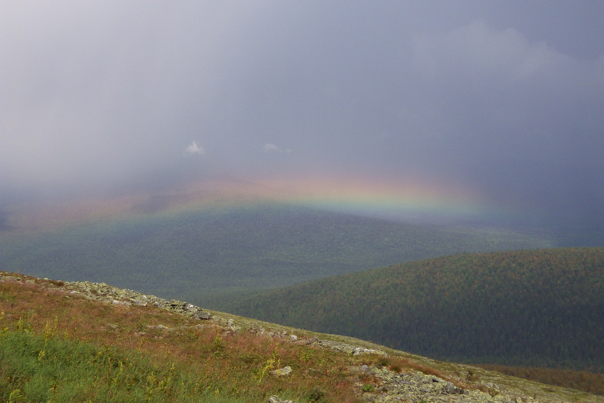 Спустя 60 лет после трагедии на перевале Дятлова возобновилось расследование. И муромлянин Дмитрий Савва рассказал о своей теории по поводу странной гибели девяти туристов в 1959 году