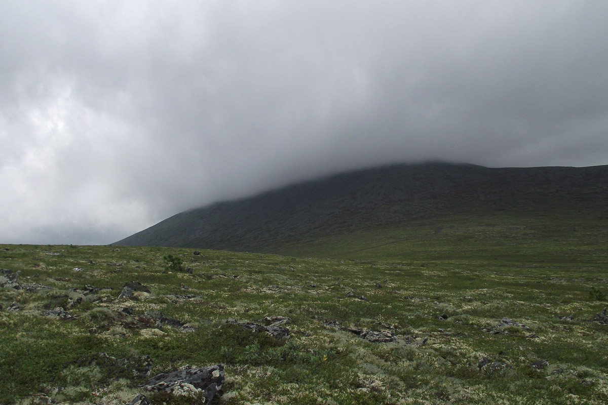 Спустя 60 лет после трагедии на перевале Дятлова возобновилось расследование. И муромлянин Дмитрий Савва рассказал о своей теории по поводу странной гибели девяти туристов в 1959 году
