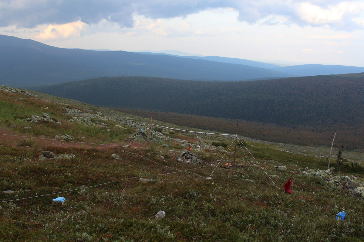Спустя 60 лет после трагедии на перевале Дятлова возобновилось расследование. И муромлянин Дмитрий Савва рассказал о своей теории по поводу странной гибели девяти туристов в 1959 году