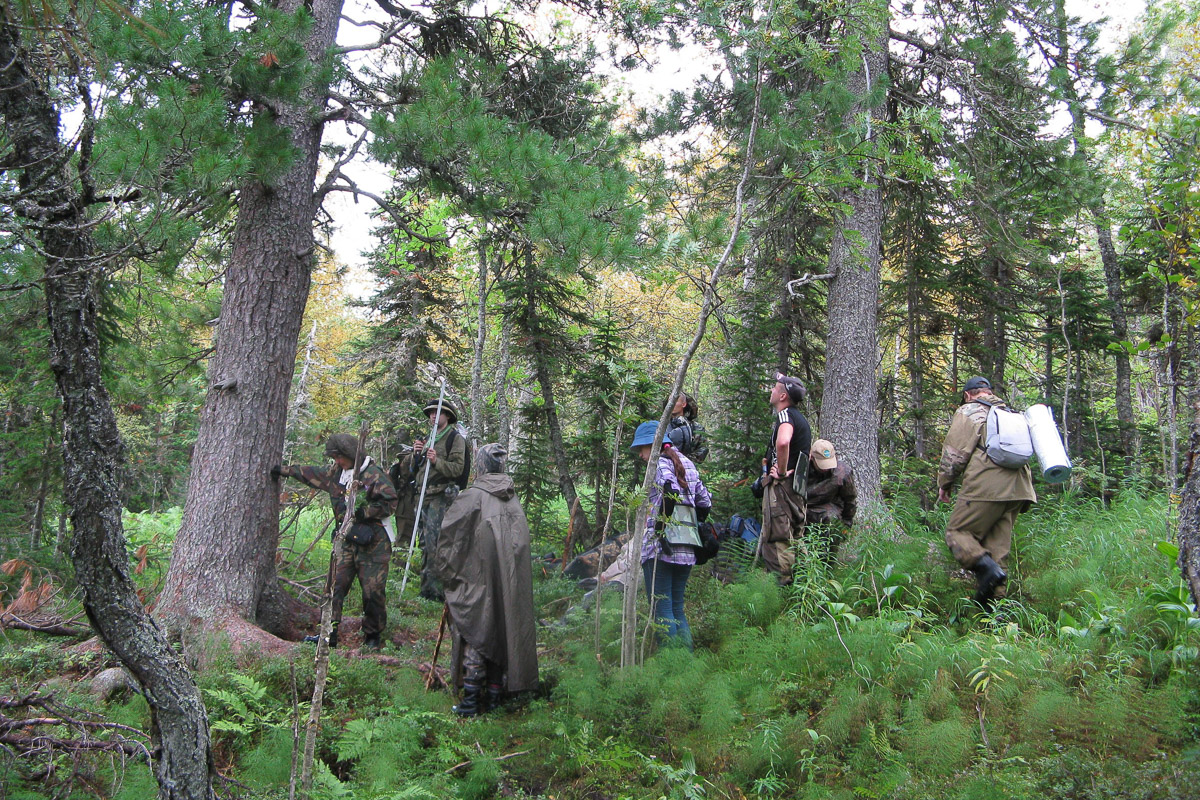 Спустя 60 лет после трагедии на перевале Дятлова возобновилось расследование. И муромлянин Дмитрий Савва рассказал о своей теории по поводу странной гибели девяти туристов в 1959 году