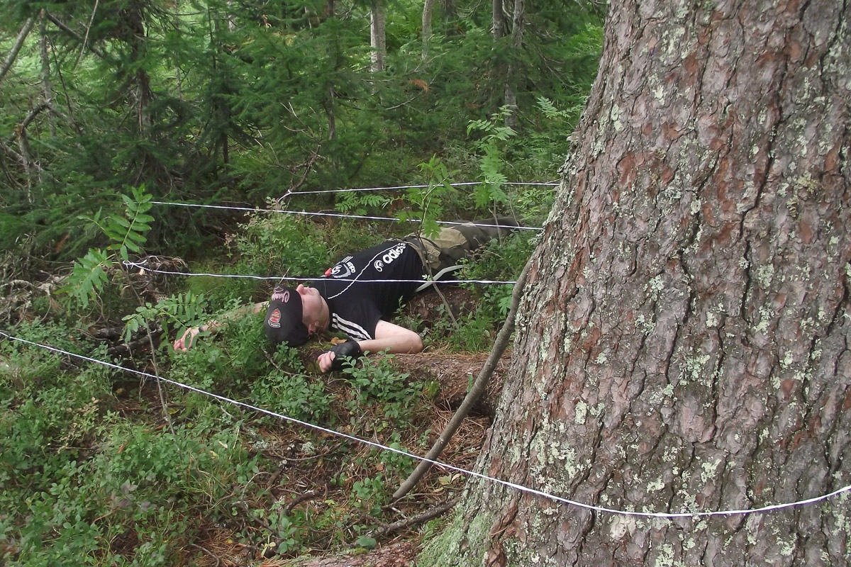 Спустя 60 лет после трагедии на перевале Дятлова возобновилось расследование. И муромлянин Дмитрий Савва рассказал о своей теории по поводу странной гибели девяти туристов в 1959 году