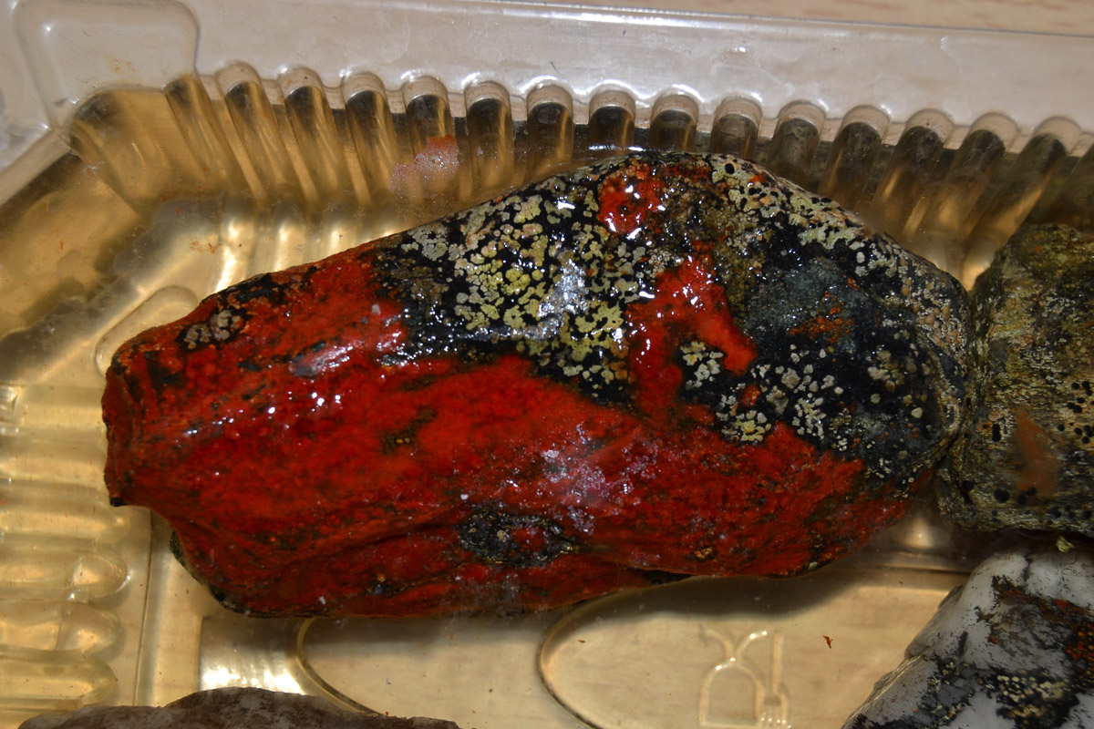 Спустя 60 лет после трагедии на перевале Дятлова возобновилось расследование. И муромлянин Дмитрий Савва рассказал о своей теории по поводу странной гибели девяти туристов в 1959 году