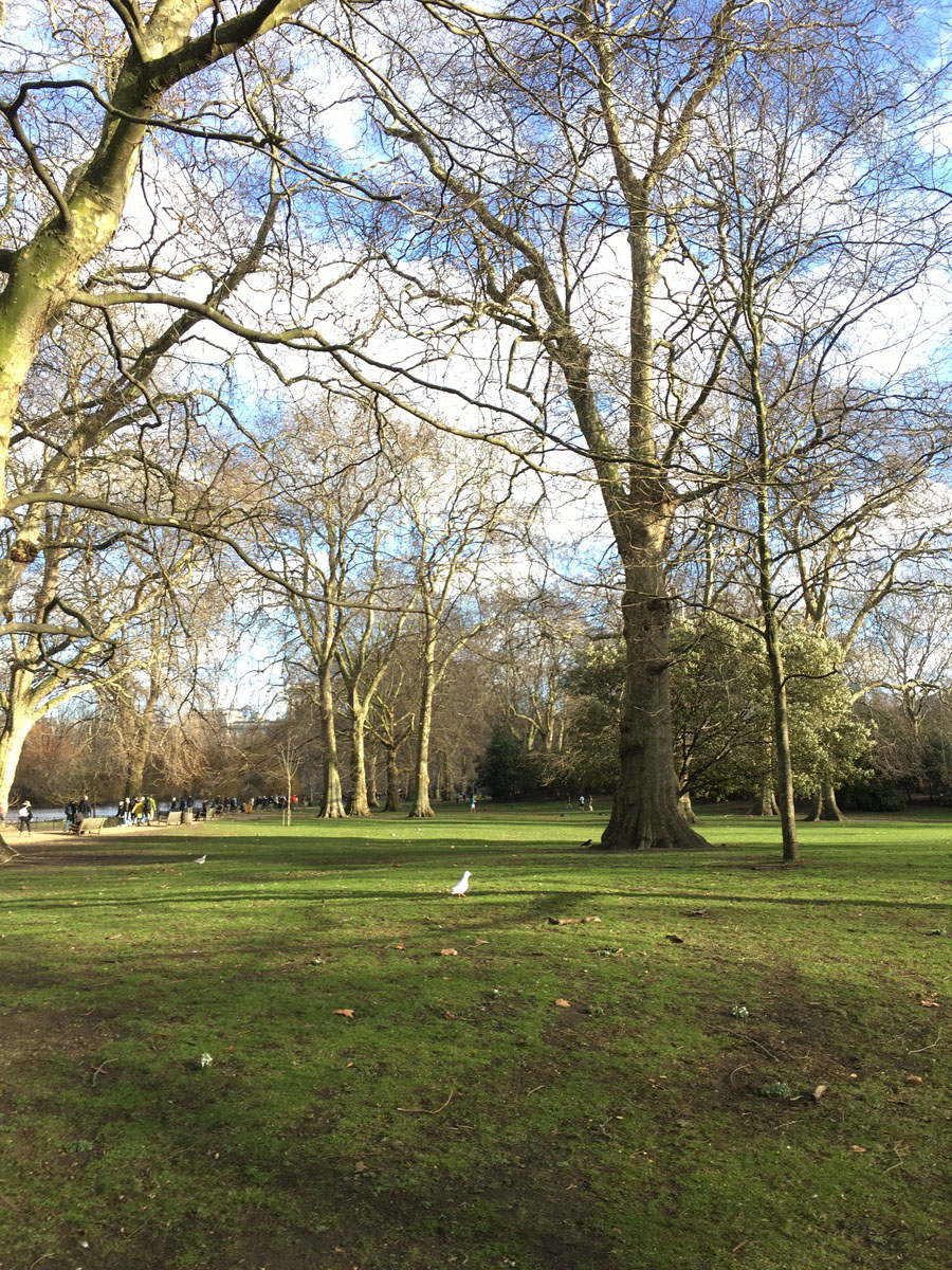 Заядлый владимирский путешественник Даниэль Левашов составил топ-5 разоблачений самых распространенных стереотипов о жизни англичан, исходя из собственной практики