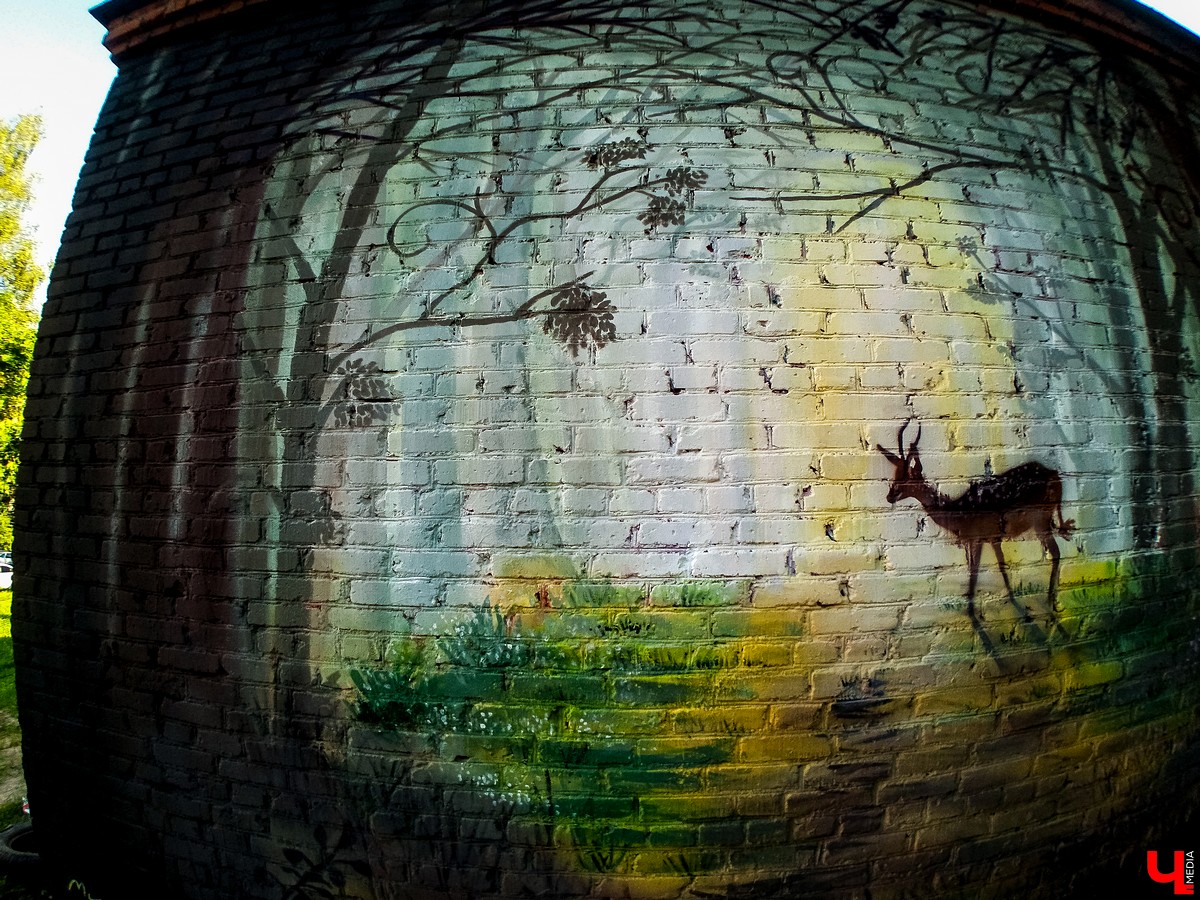 Граффити во Владимире