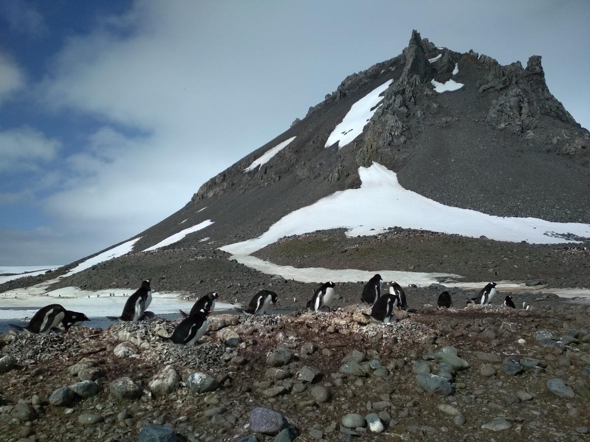 Алена Антонова вернулась из Антарктиды