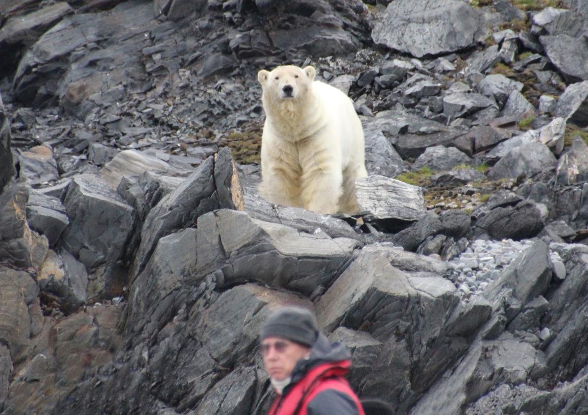 Алена Антонова вернулась из Антарктиды