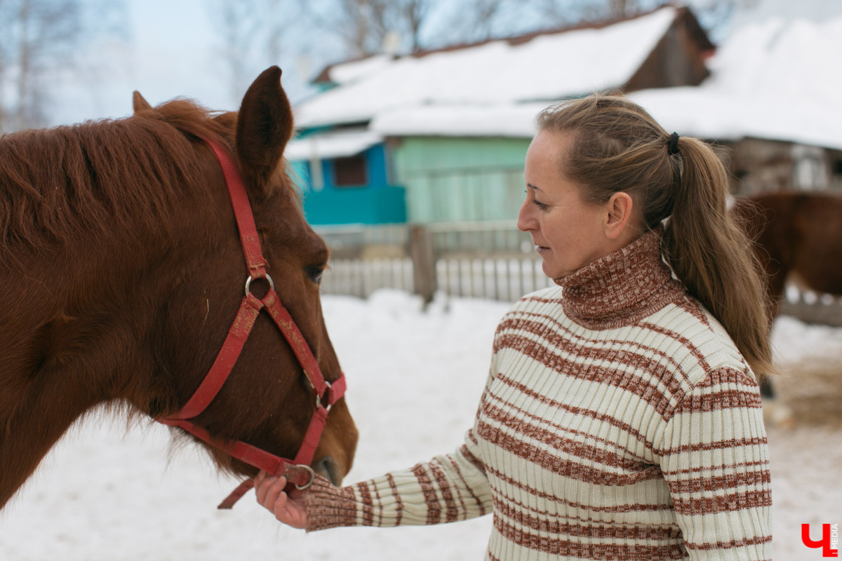 Как содержать 4-х лошадей, правильно с ним общаться и почему скакуны спасают от плохого настроения, читайте в нашем интервью с Мариной Кряжевой