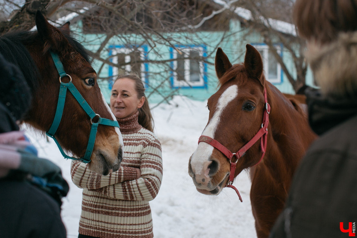 Как содержать 4-х лошадей, правильно с ним общаться и почему скакуны спасают от плохого настроения, читайте в нашем интервью с Мариной Кряжевой