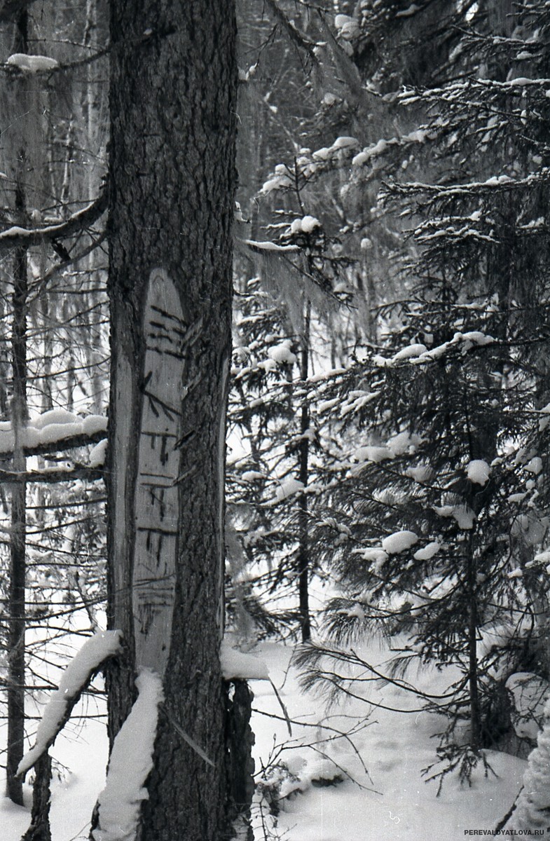 Следственный комитет обнародовал выводы о расследовании гибели туристической группы Дятлова