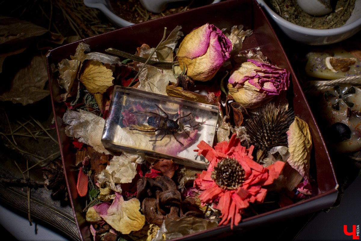 Свечных дел мастер, парфюмер, таксидермист - редкие профессии, которым владимирцы научились сами. Об удивительных навыках они рассказали нам