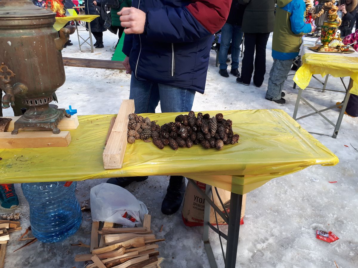 В Добром на берегу Комиссаровского пруда горожане устроили выставку самоваров. Ее приурочили к празднованию Масленицы