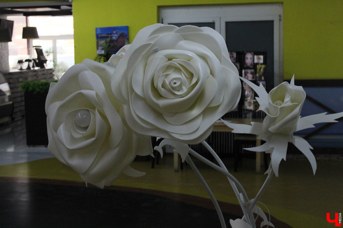 Общение с дельфинами. Думаете, это возможно только летом на юге? А вот и нет – всего лишь каких-то 220 километров от Владимира, и вы оказываетесь в поселке Дубки, в загородном комплексе Dolphin Planet