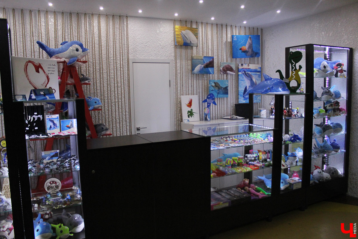 Общение с дельфинами. Думаете, это возможно только летом на юге? А вот и нет – всего лишь каких-то 220 километров от Владимира, и вы оказываетесь в поселке Дубки, в загородном комплексе Dolphin Planet