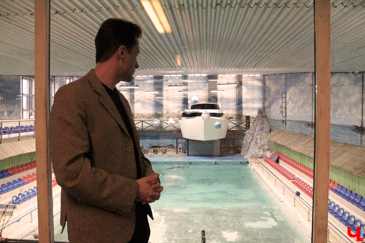 Общение с дельфинами. Думаете, это возможно только летом на юге? А вот и нет – всего лишь каких-то 220 километров от Владимира, и вы оказываетесь в поселке Дубки, в загородном комплексе Dolphin Planet