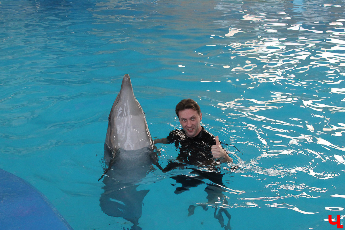 Общение с дельфинами. Думаете, это возможно только летом на юге? А вот и нет – всего лишь каких-то 220 километров от Владимира, и вы оказываетесь в поселке Дубки, в загородном комплексе Dolphin Planet