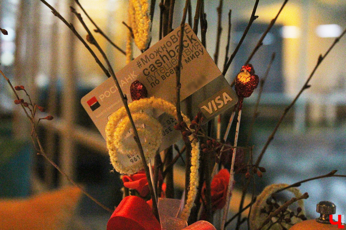 Общение с дельфинами. Думаете, это возможно только летом на юге? А вот и нет – всего лишь каких-то 220 километров от Владимира, и вы оказываетесь в поселке Дубки, в загородном комплексе Dolphin Planet