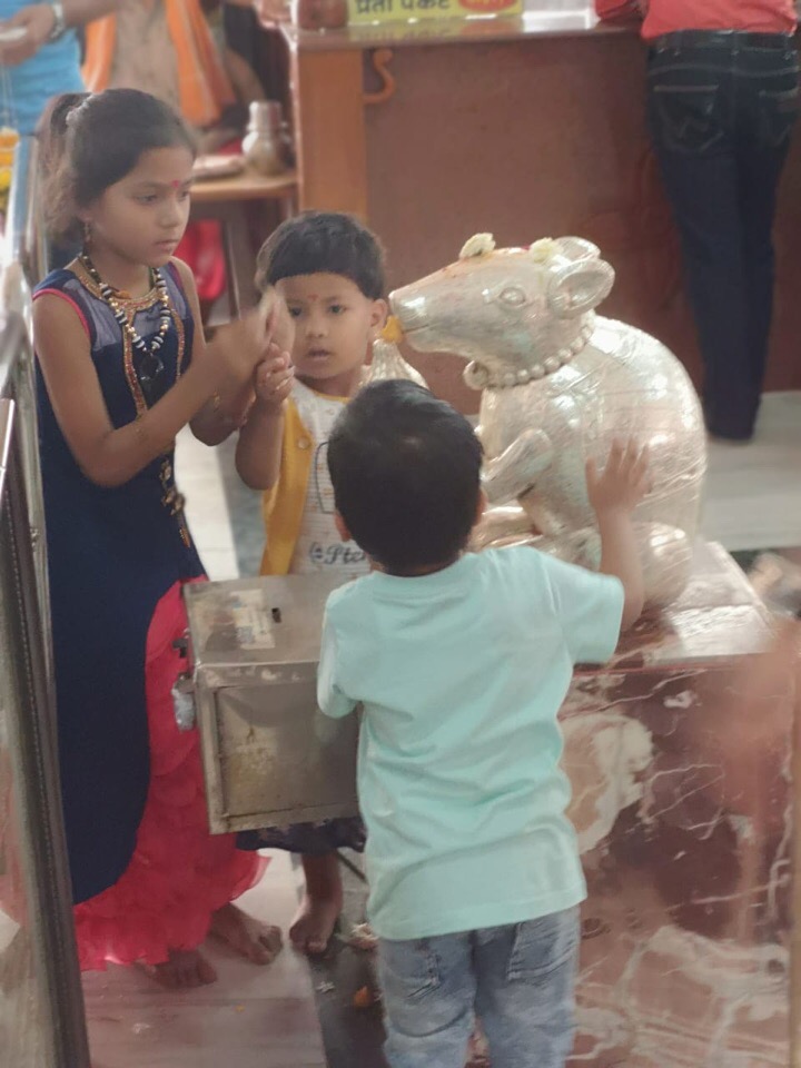 Путешествие по Индии