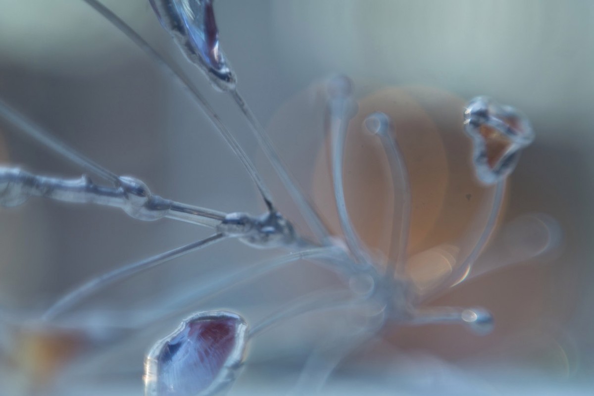 Три девушки создают бижутерию своими руками. Чем они вдохновляются и из чего создают украшения? Выясняем