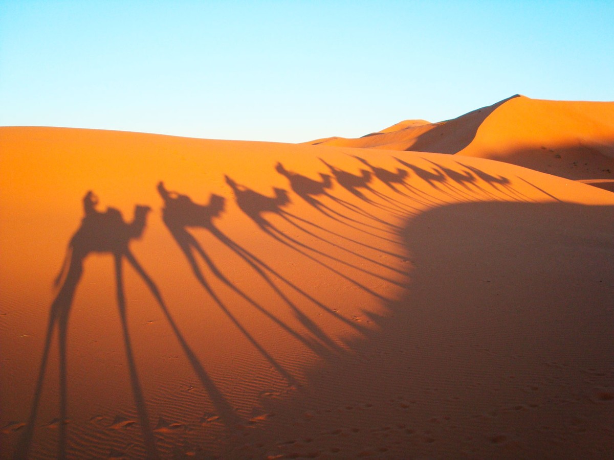 Студия Roulet приглашает поучаствовать в кулинарном туре в Узбекистан с 1 по 8 мая