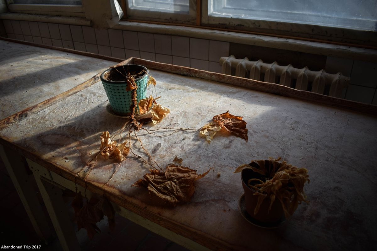 Заброшенные кафе во Владимире 