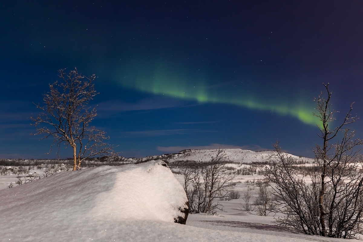 Видеоблогер Илья Лаагри