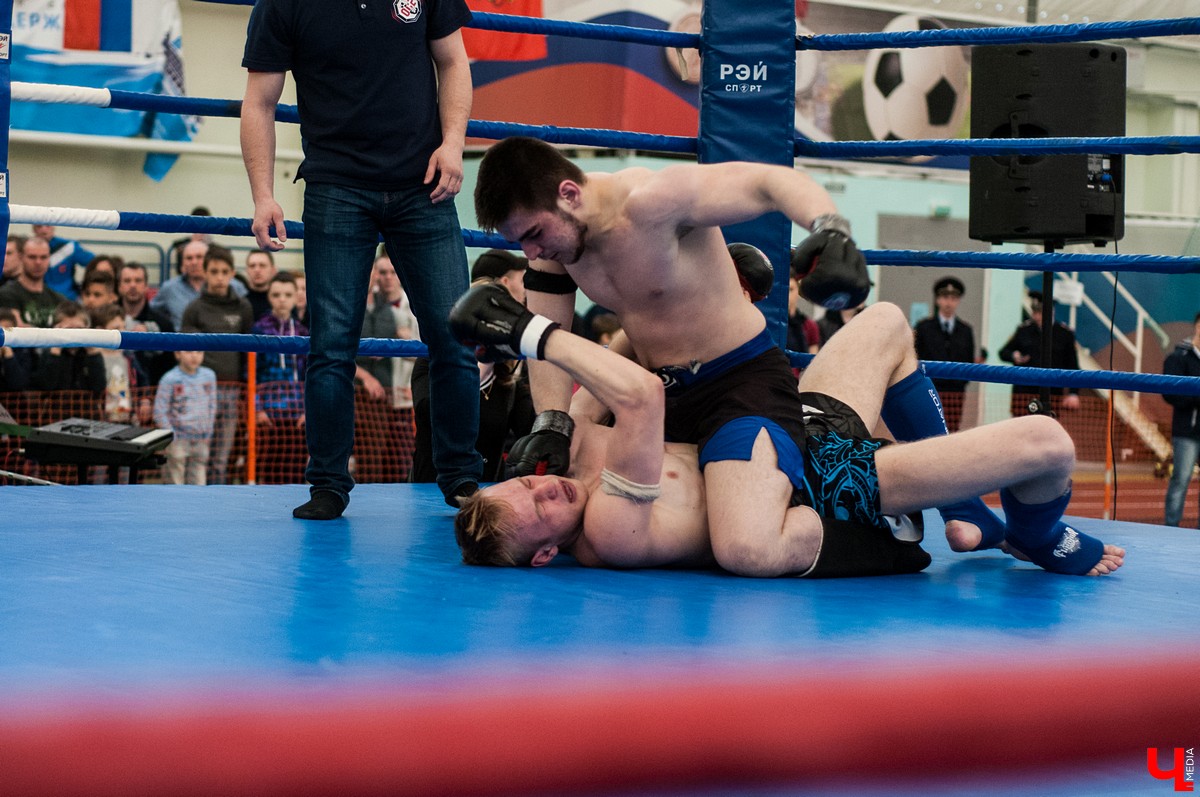 Обзор владимирских новостей за неделю