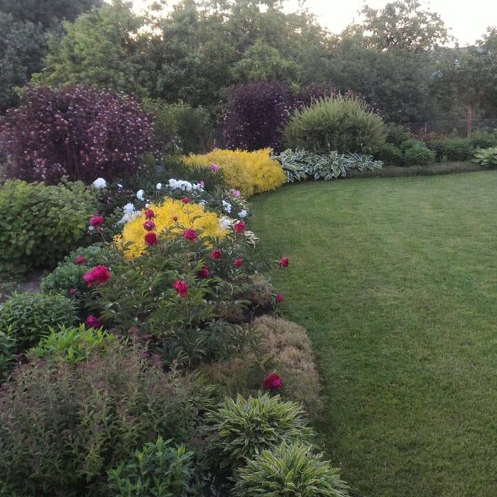 Ландшафтный дизайнер, член Союза художников России Александра Сорокина поделилась лайфхаками: как создать у себя на даче райский уголок. А заодно рассказала о трендах и антитрендах 2019 года