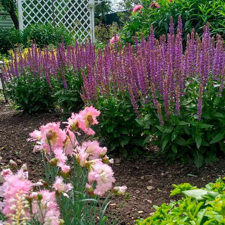 Ландшафтный дизайнер, член Союза художников России Александра Сорокина поделилась лайфхаками: как создать у себя на даче райский уголок. А заодно рассказала о трендах и антитрендах 2019 года