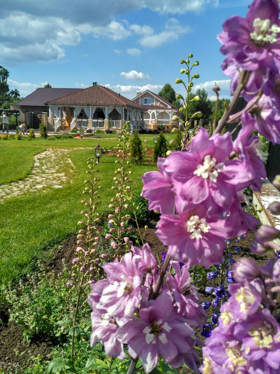 Ландшафтный дизайнер, член Союза художников России Александра Сорокина поделилась лайфхаками: как создать у себя на даче райский уголок. А заодно рассказала о трендах и антитрендах 2019 года