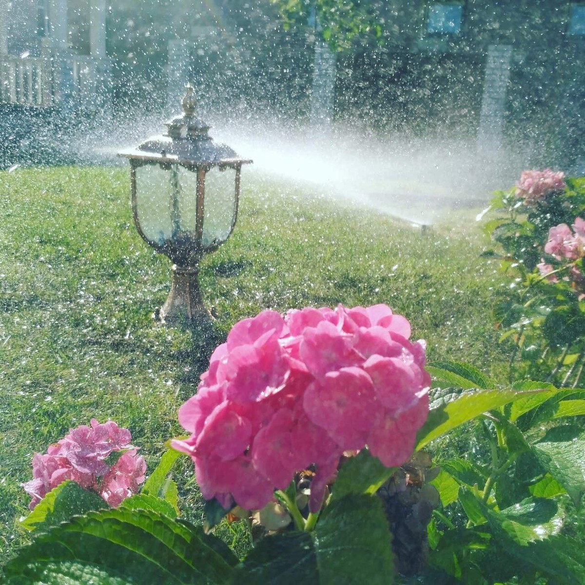 Ландшафтный дизайнер, член Союза художников России Александра Сорокина поделилась лайфхаками: как создать у себя на даче райский уголок. А заодно рассказала о трендах и антитрендах 2019 года