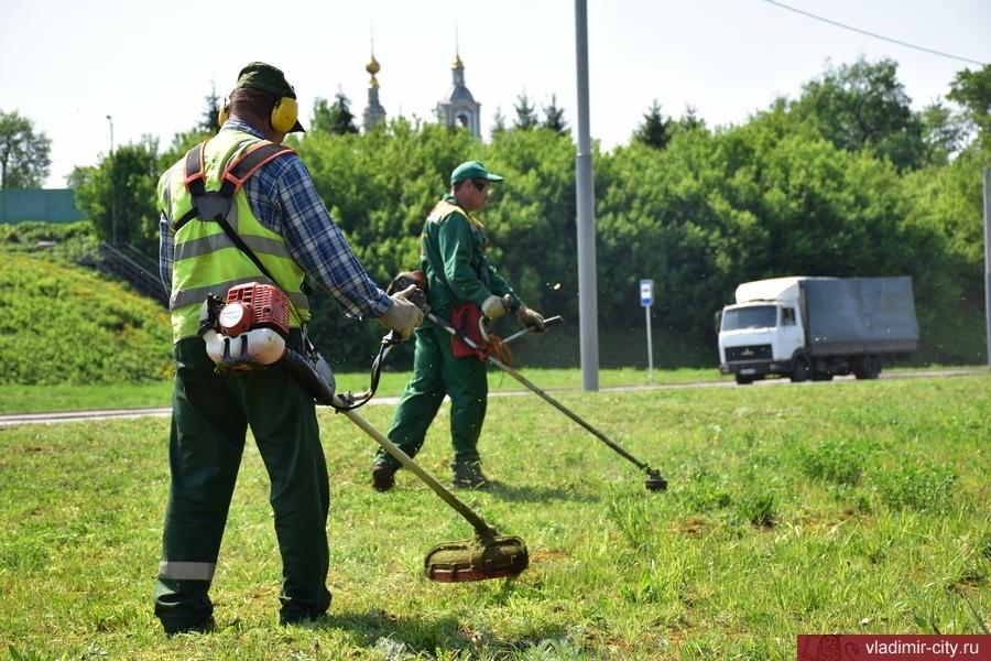 Газонокосильщики во Владимире
