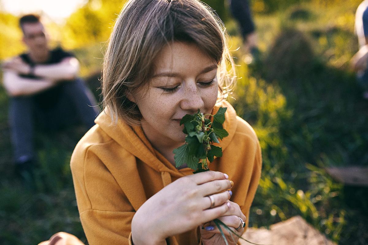 Ленд-арт во Владимире