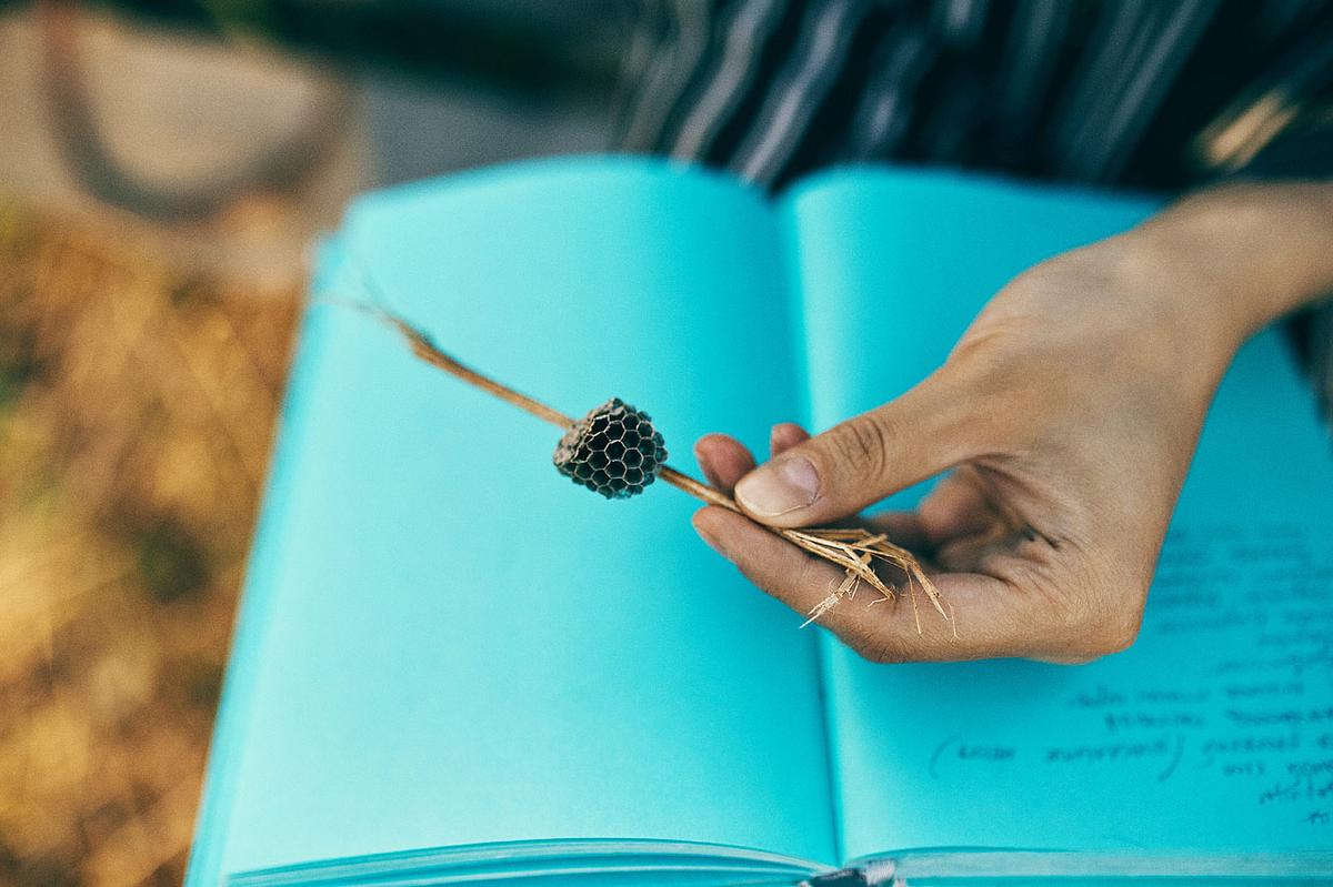 Ленд-арт во Владимире