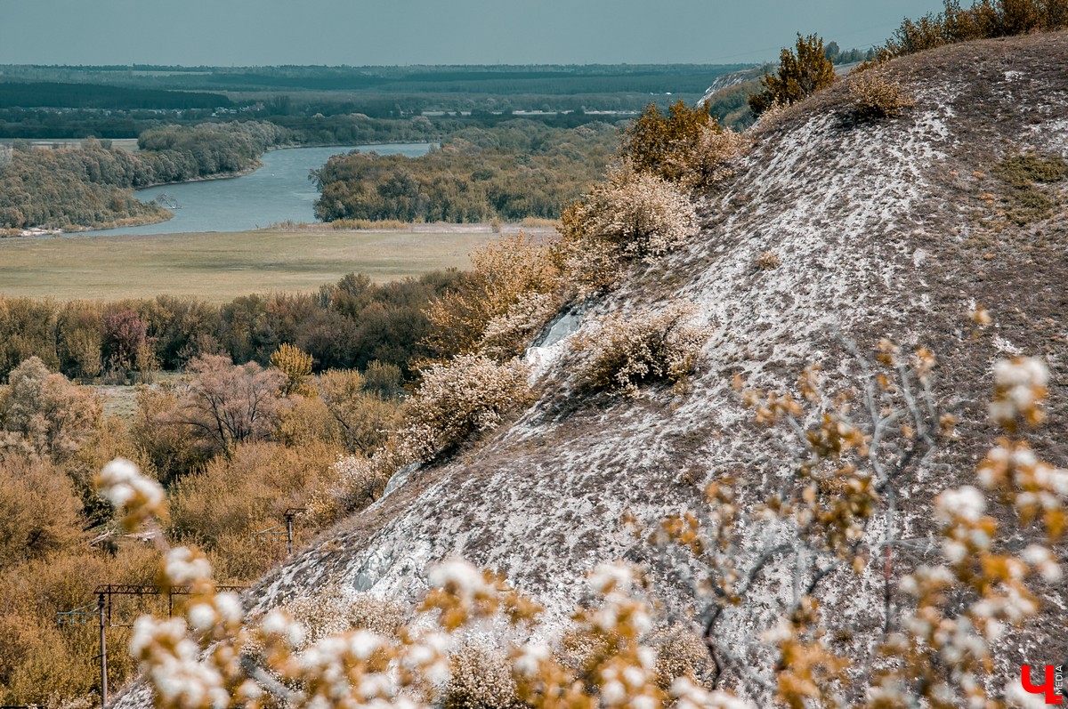 Поездка в Дивногорье