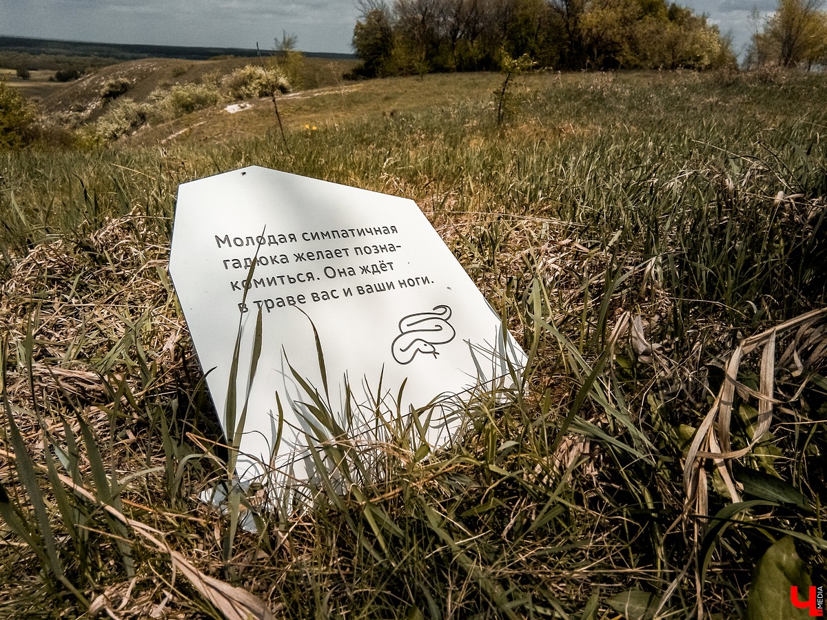 Поездка в Дивногорье