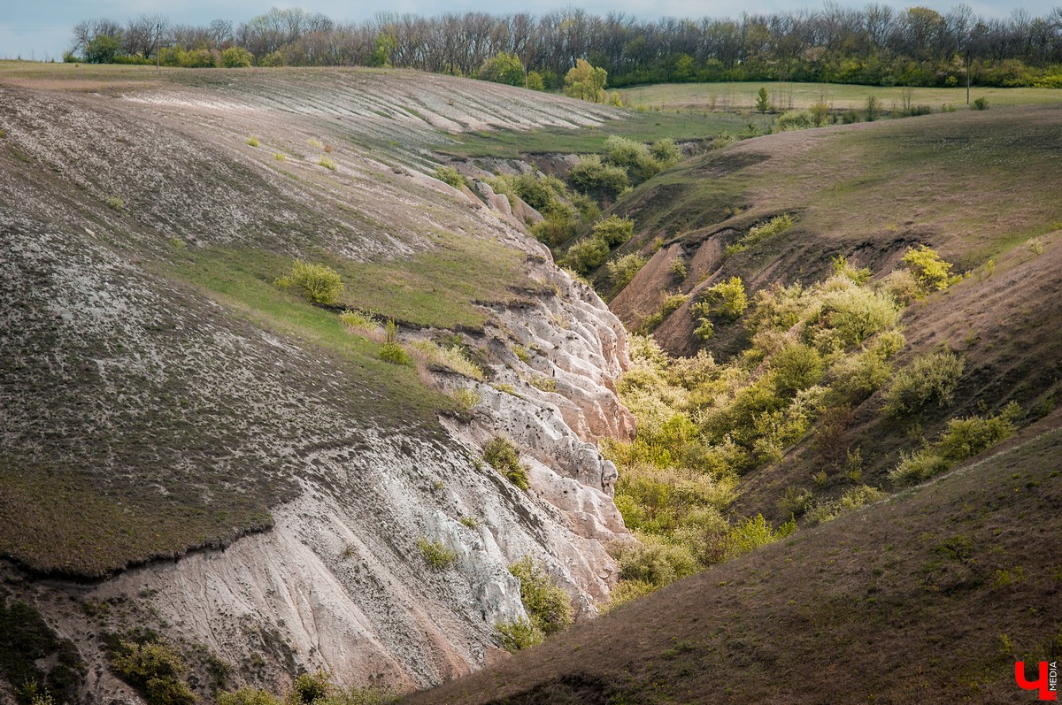 Поездка в Дивногорье