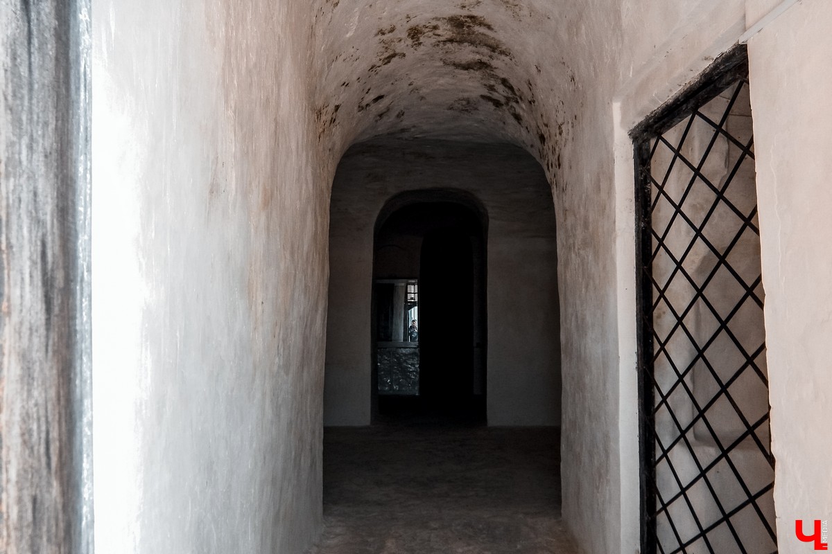 Поездка в Дивногорье