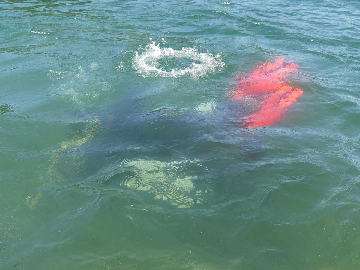 Субботник «Чистые игры» на Улыбышевских карьерах